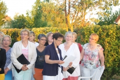 Concert sur l'herbe juillet 2015